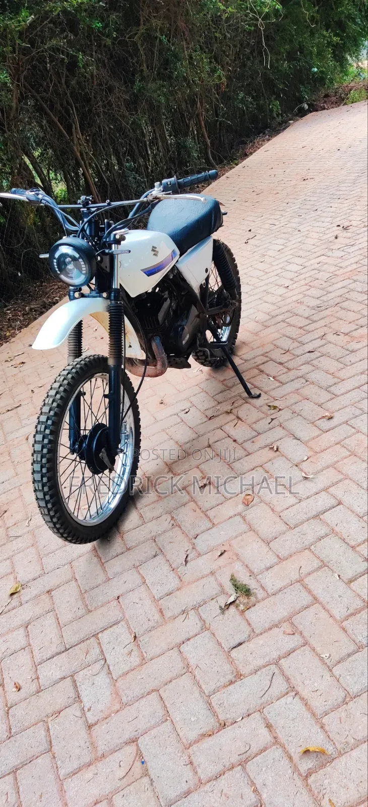 Suzuki 2010 White