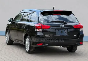 Toyota Corolla Fielder 2019 Matt Black