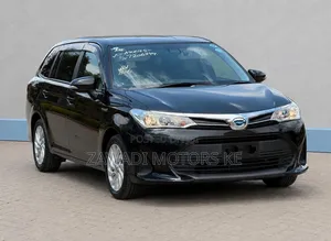 Toyota Corolla Fielder 2019 Matt Black