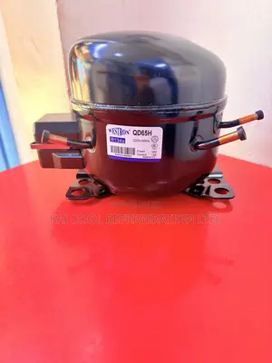 Westron Fridge Compressors – All Sizes Available
