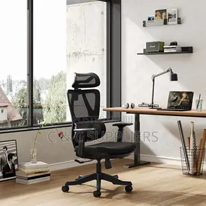 Executive Mesh Chair With Lumber Support