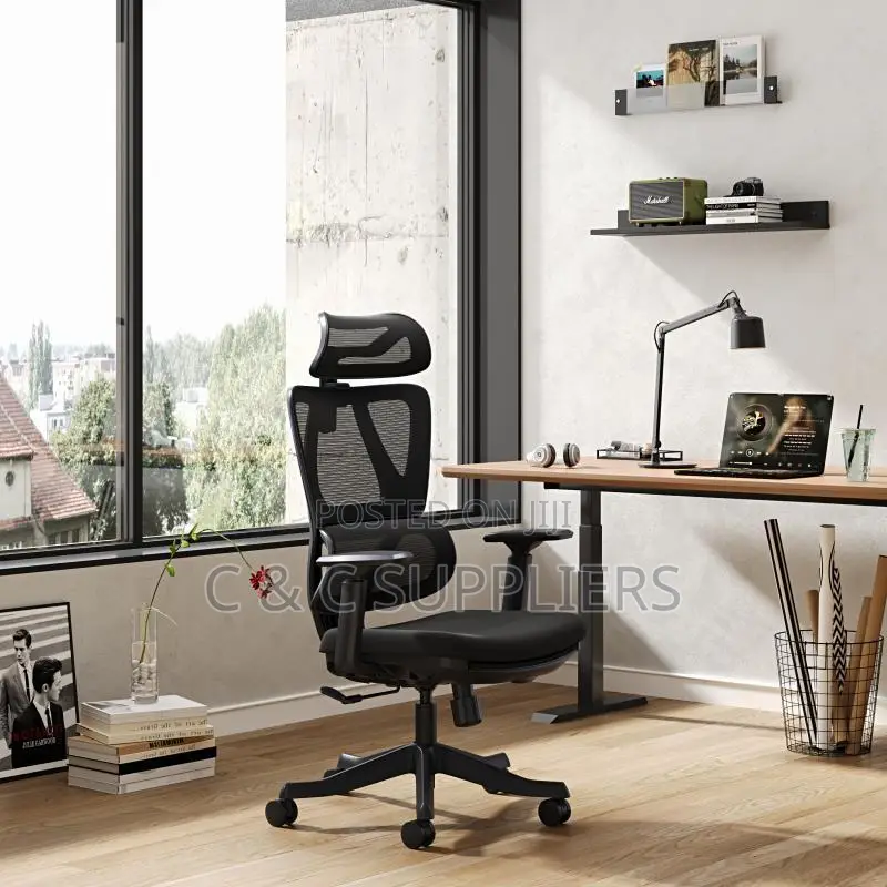 Executive Mesh Chair With Lumber Support