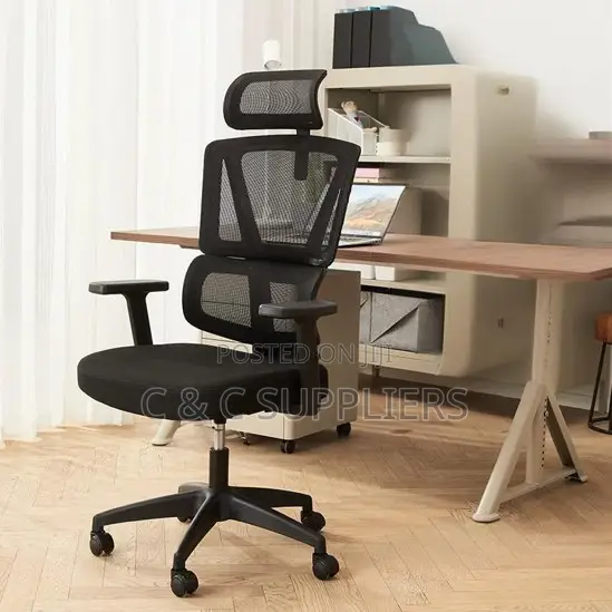 Executive Mesh Chair With Lumber Support