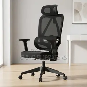 Executive Mesh Chair With Lumber Support