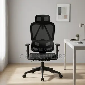Executive Mesh Chair With Lumber Support