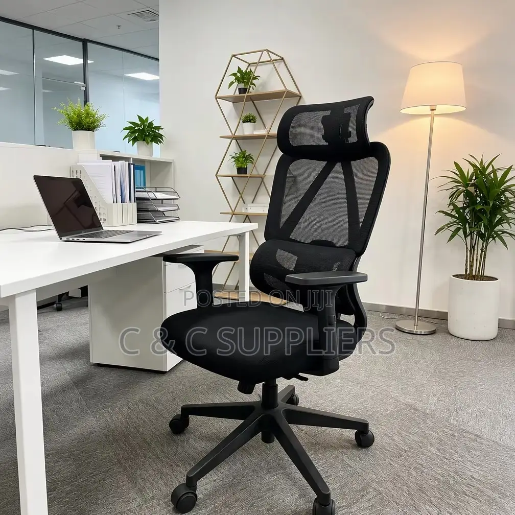 Executive Mesh Chair With Lumber Support