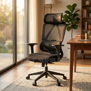 Executive Mesh Chair With Lumber Support