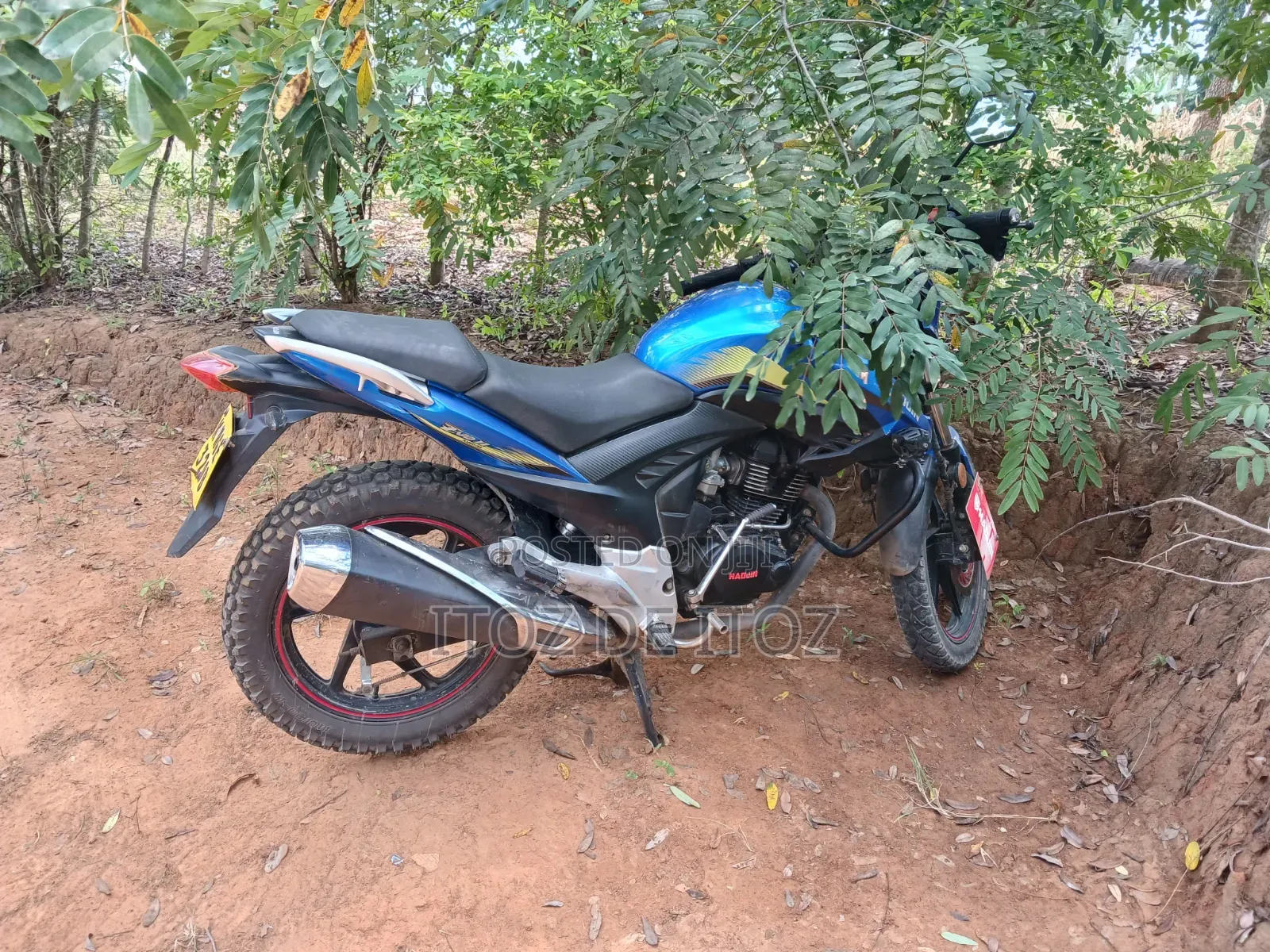 Haojin Evo II 2022 Blue