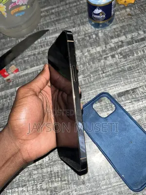 Apple iPhone 13 Pro Max 128 GB Gold