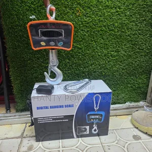 Digital Crane Scale 500kg