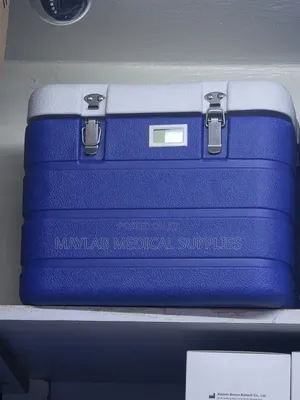 10 Litres Cooler Box – Insulated Portable Ice Box