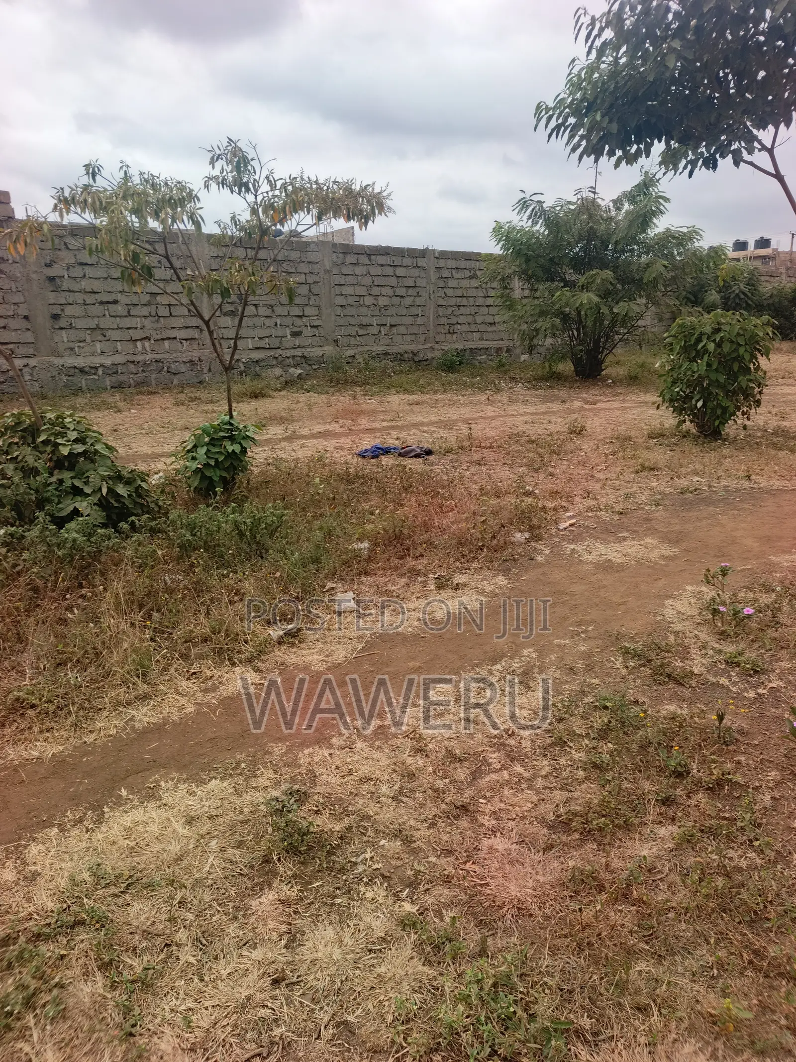 Murera Junction Plots for Sale