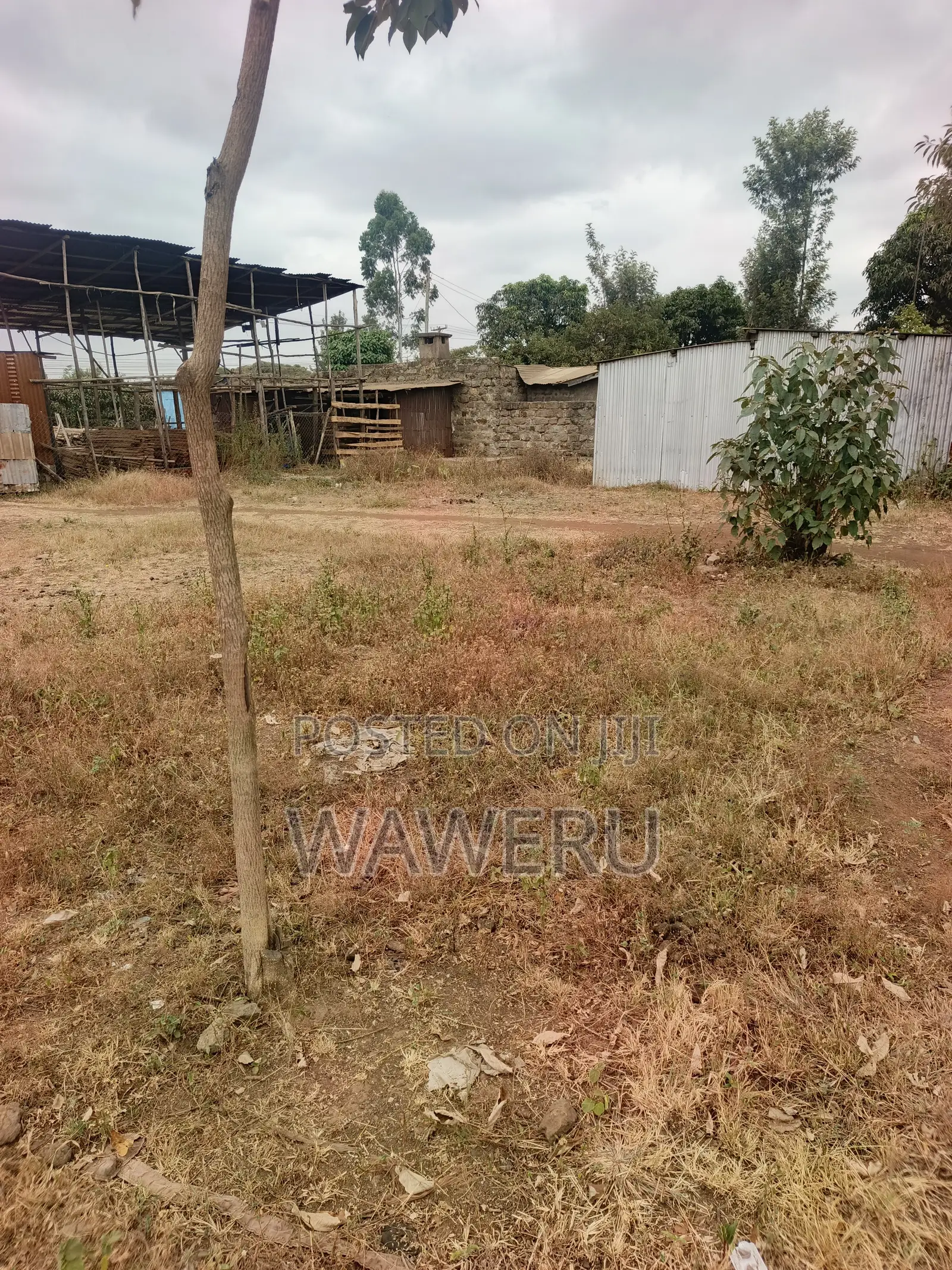 Murera Junction Plots for Sale