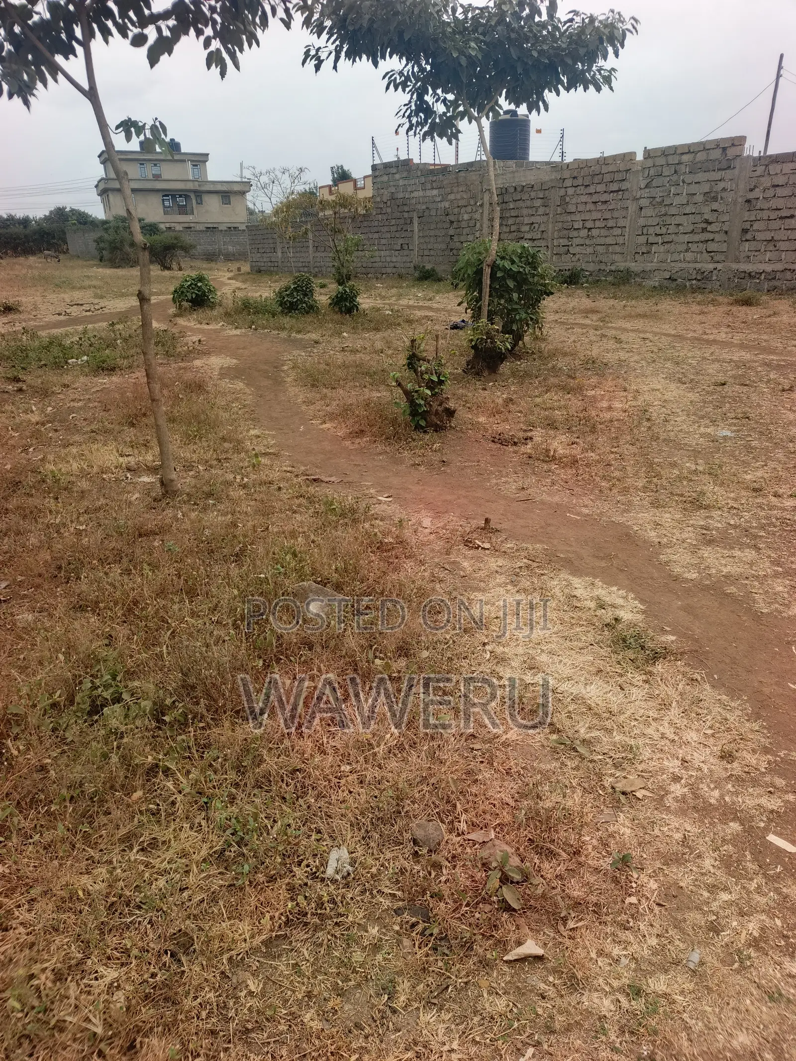 Murera Junction Plots for Sale