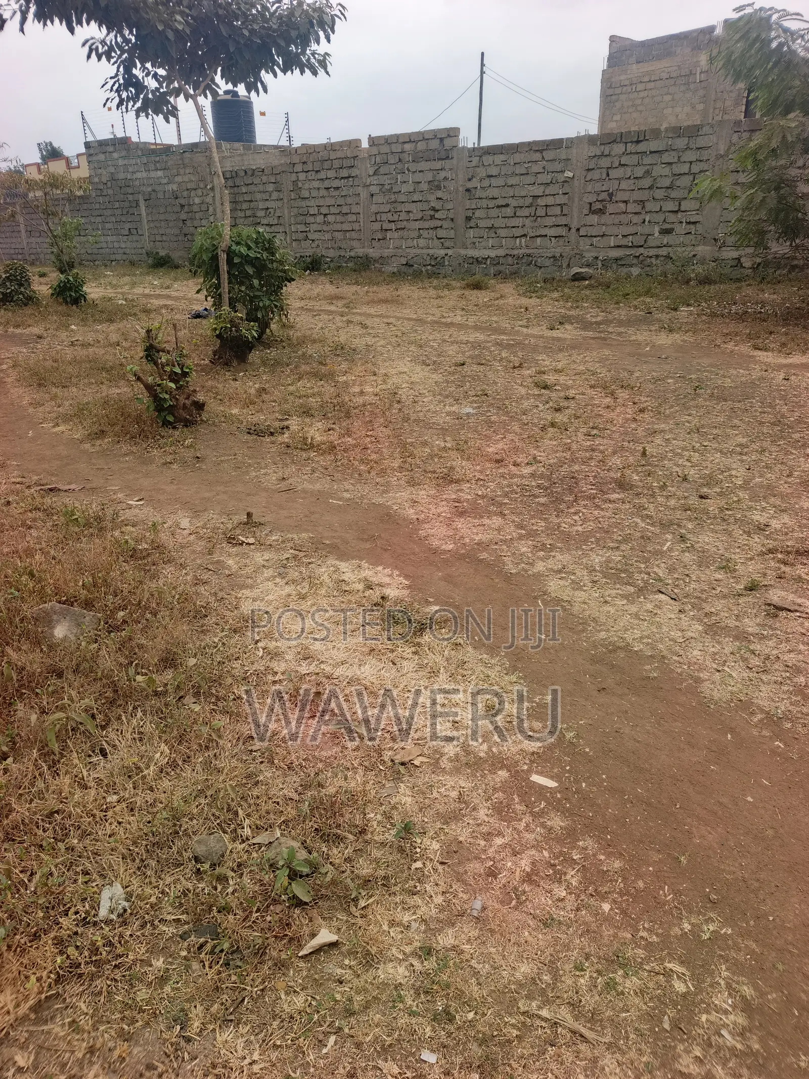 Murera Junction Plots for Sale