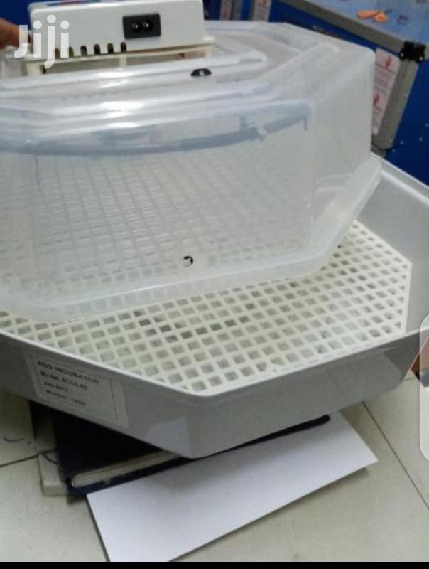60 Egg Incubator Machines - main view