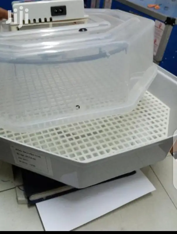 60 Egg Incubator Machines