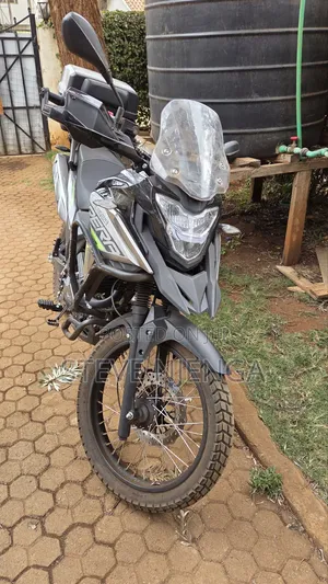 Motorcycle 2025 Gray