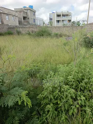 Fenced Plot for Sale Near Junction Arena