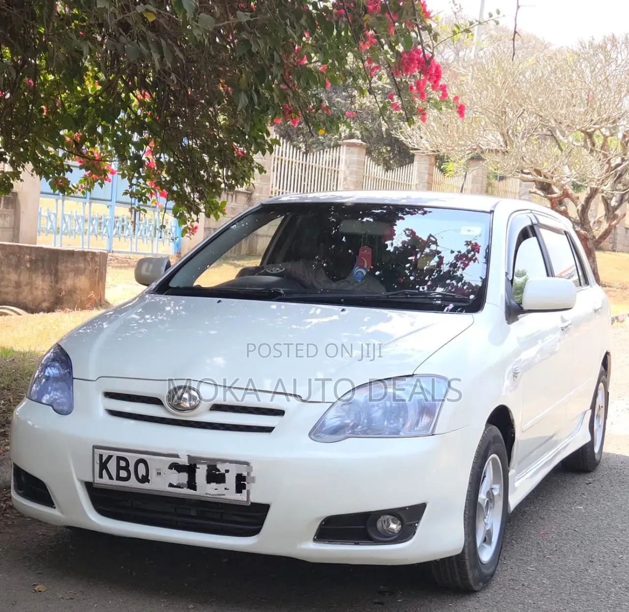 Toyota Allex 2005 White
