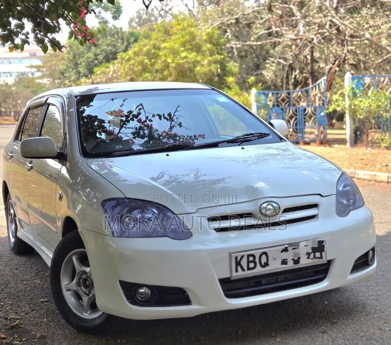 Toyota Allex 2005 White