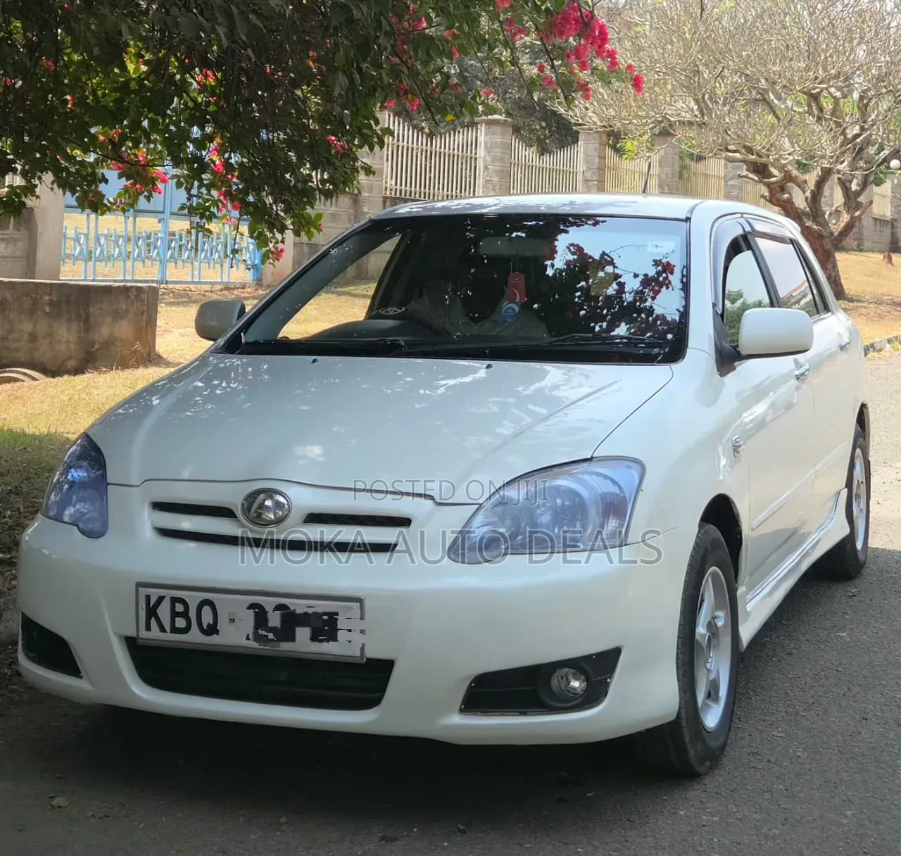 Toyota Allex 2005 White