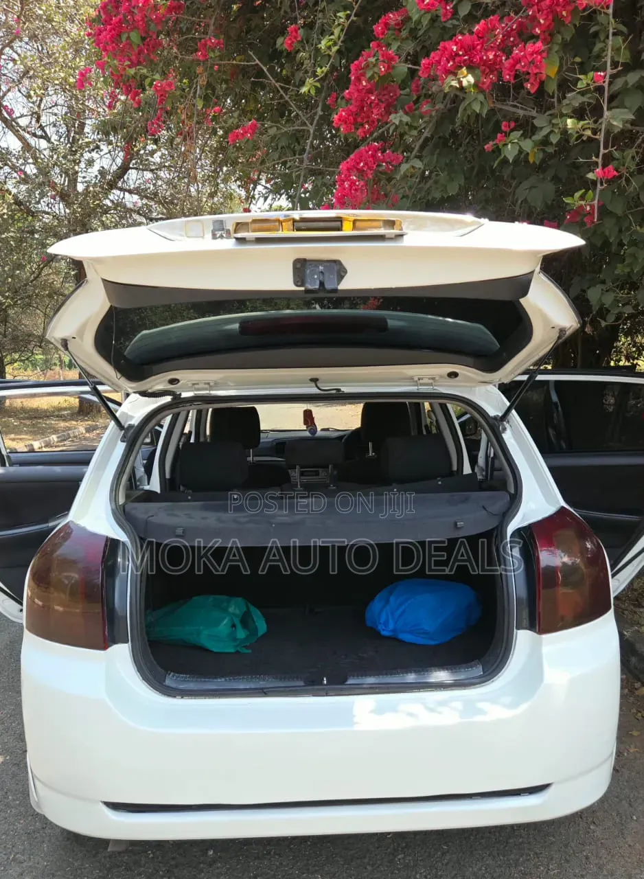 Toyota Allex 2005 White