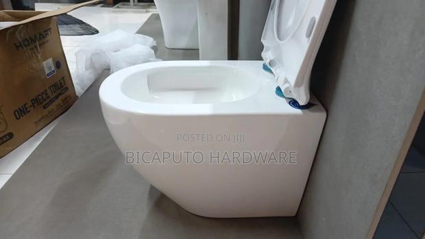 Back to Wall Toilet
