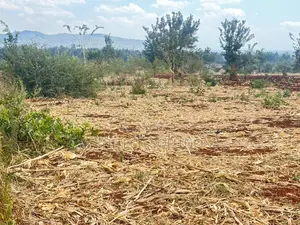 50x100 Land for Sale in Murang'a - Ready Title Deed