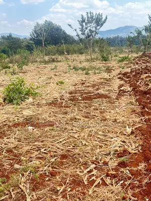 50x100 Land for Sale in Murang'a - Ready Title Deed