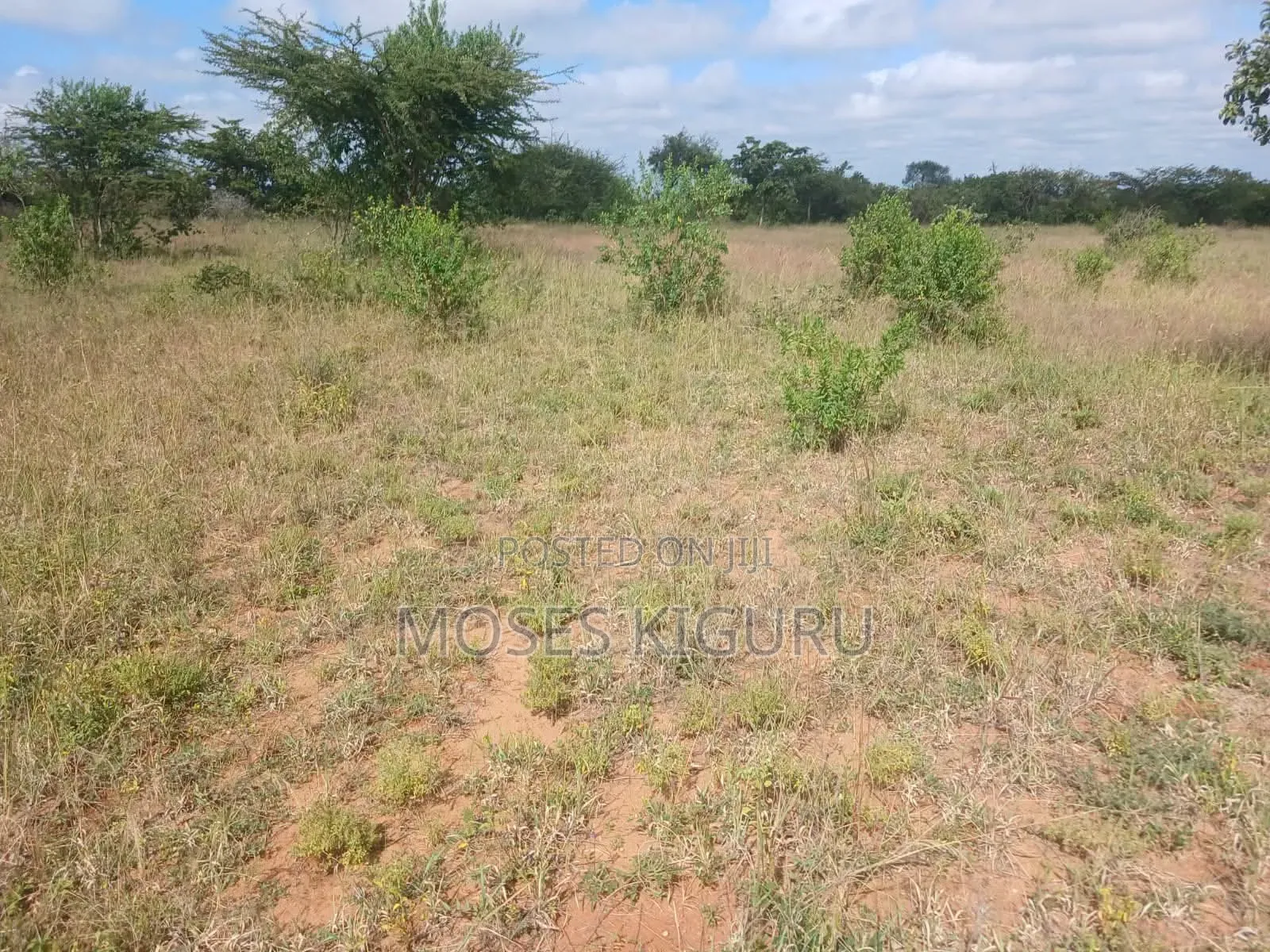 Kanyonyo 50X100 Plots
