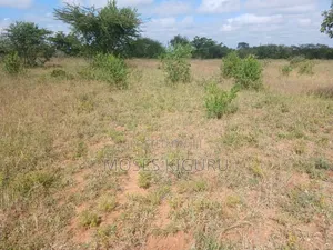 Kanyonyo 50X100 Plots