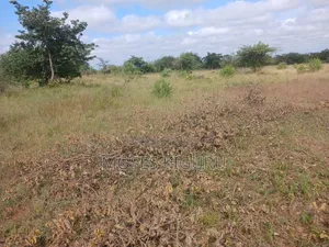 Kanyonyo 50X100 Plots