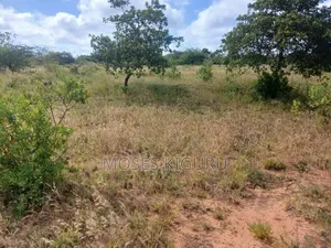 Kanyonyo 50X100 Plots