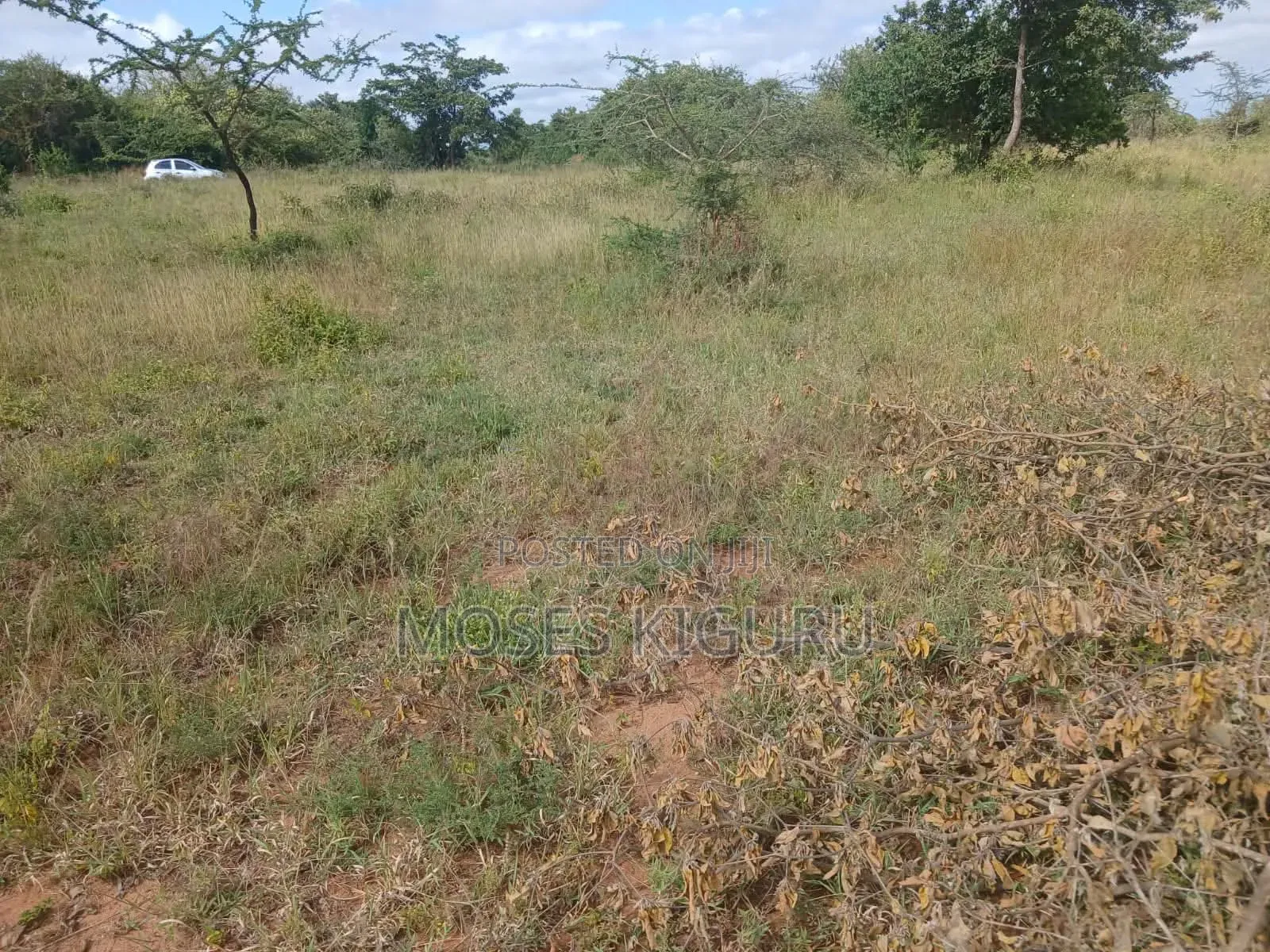 Kanyonyo 50X100 Plots