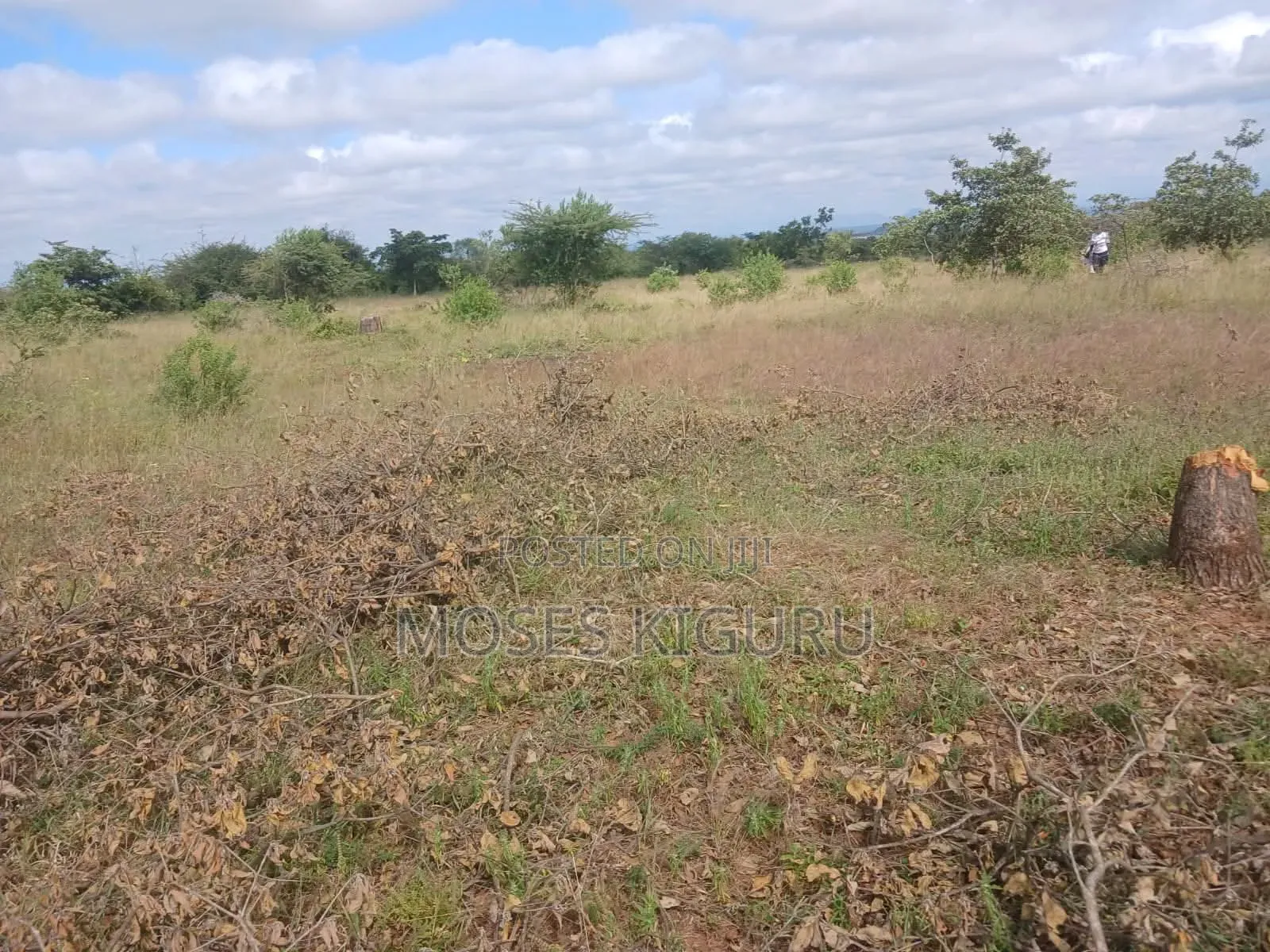 Kanyonyo 50X100 Plots
