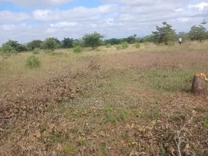 Kanyonyo 50X100 Plots