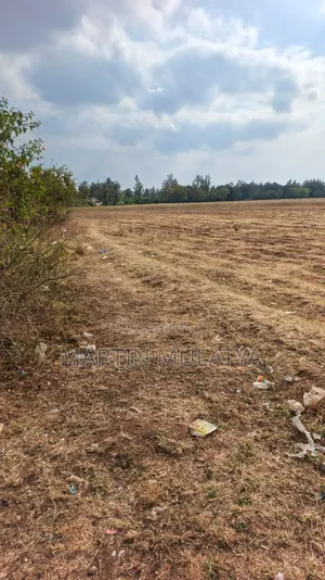 40 Acres for Sell at Mamba Nys Area
