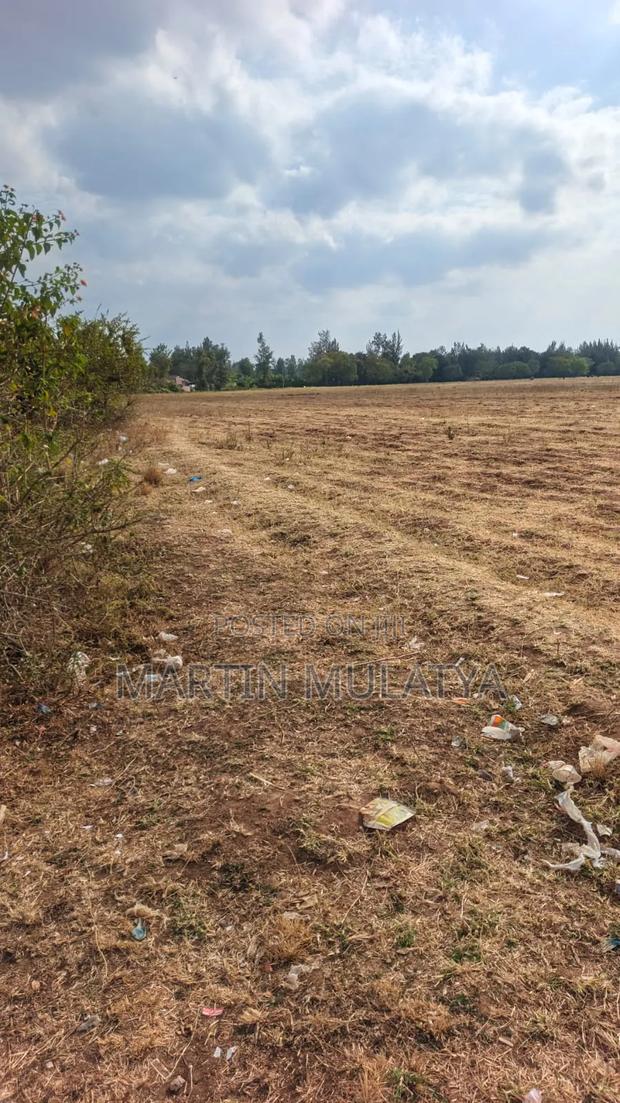 40 Acres for Sell at Mamba Nys Area