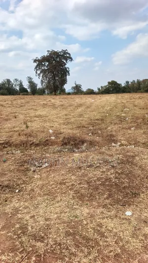 40 Acres for Sell at Mamba Nys Area