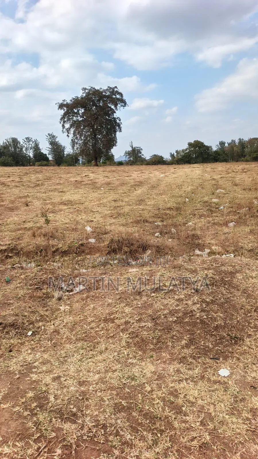 40 Acres for Sell at Mamba Nys Area