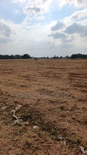 40 Acres for Sell at Mamba Nys Area