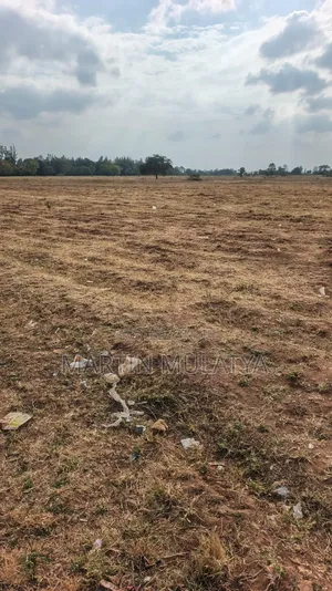 40 Acres for Sell at Mamba Nys Area