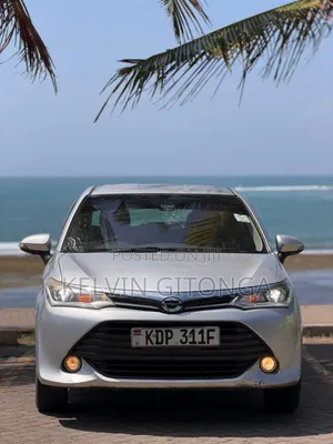 Toyota Axio 2017 Silver