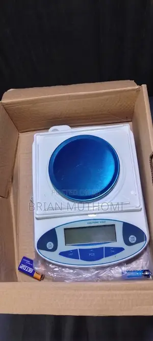 High-Precision Electronic Balance Scale