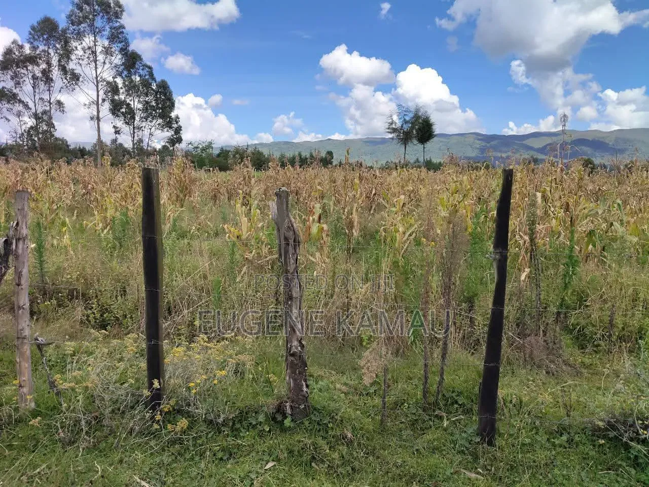 Land for Sale