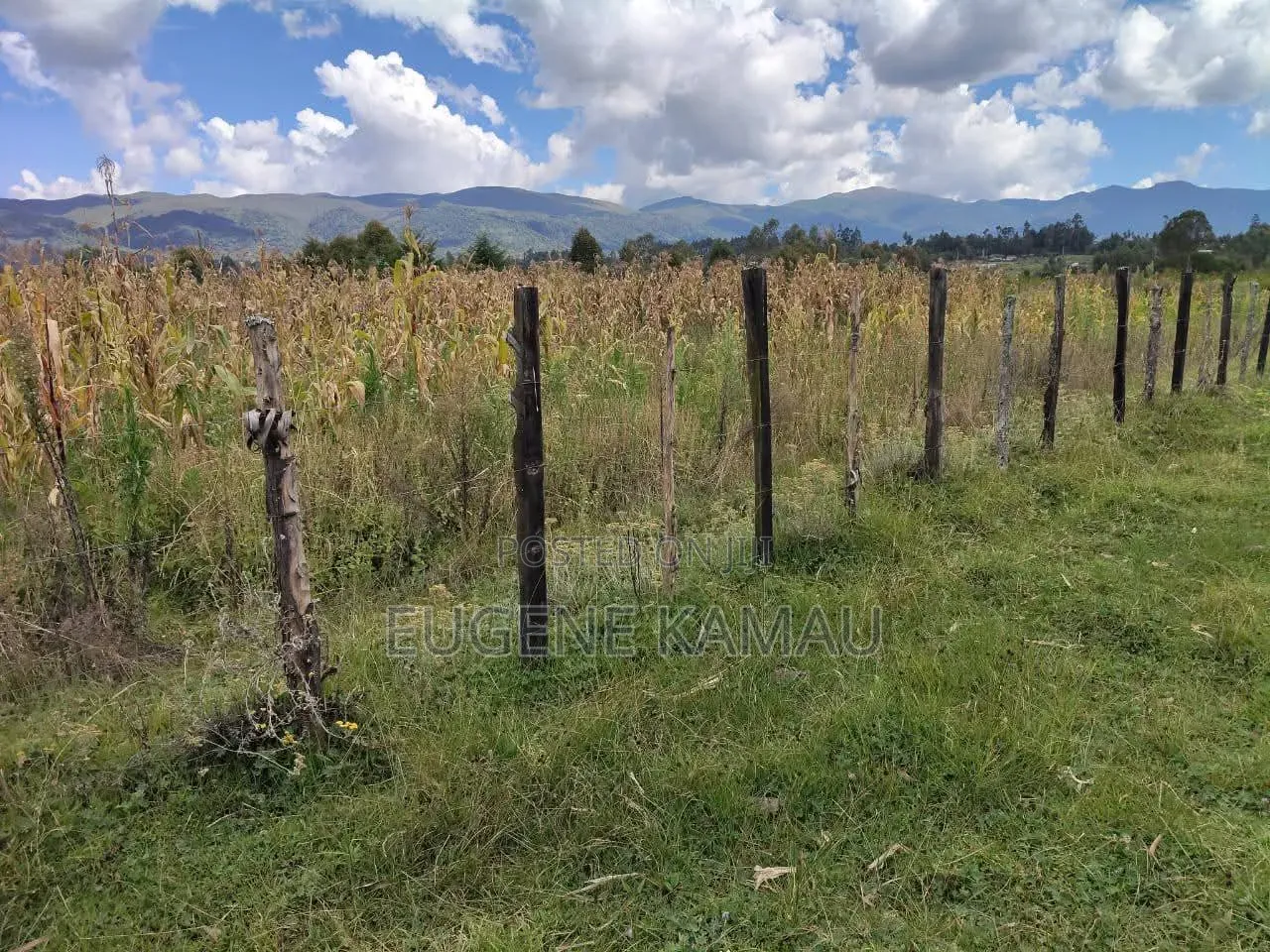 Land for Sale