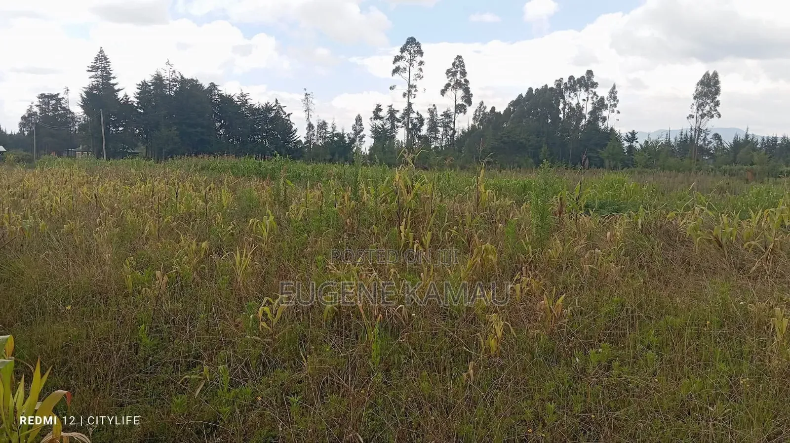 Land for Sale