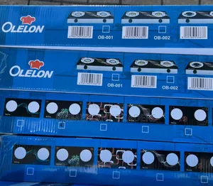 Olelon 2-Burner Infrared Electric Cooker