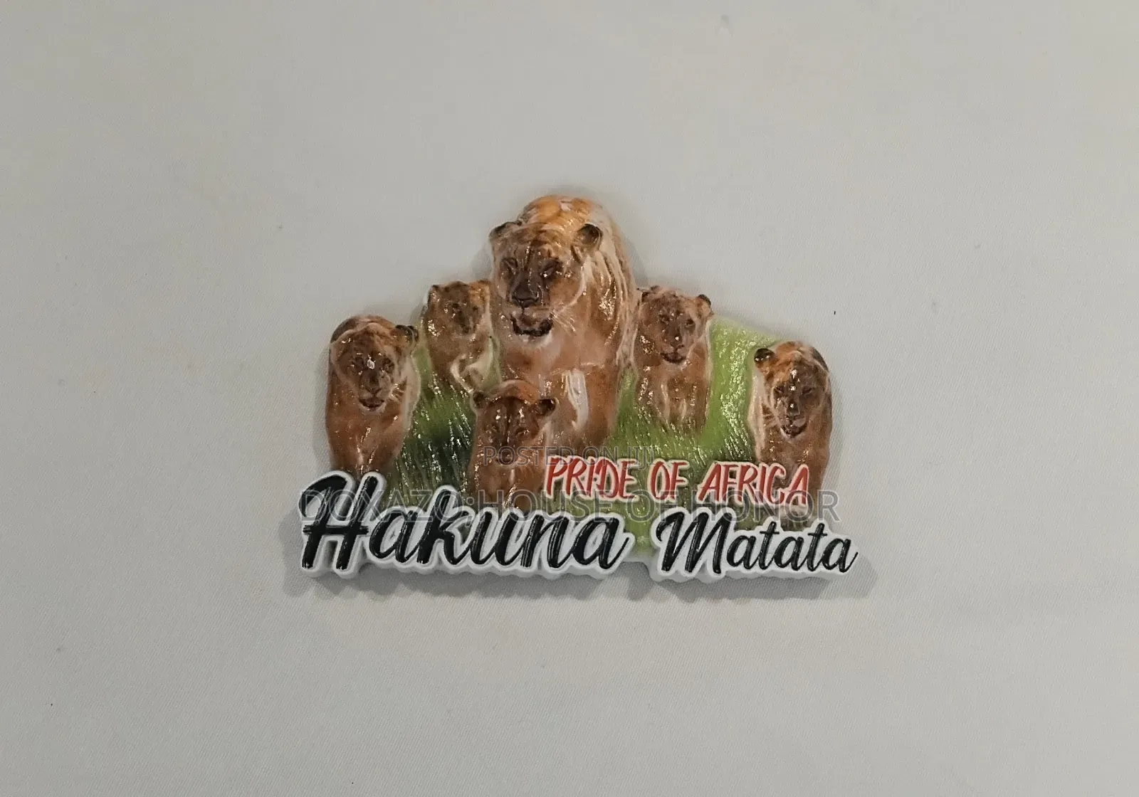 Souvernir Decorative Magnets